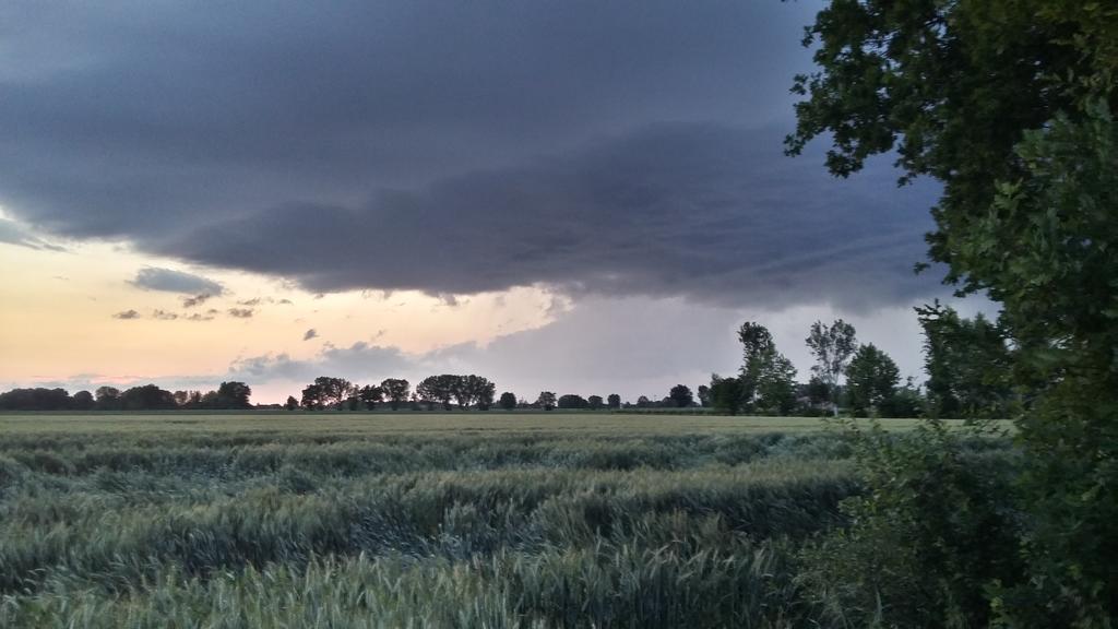 Agriturismo Boschi Реджиолло Экстерьер фото