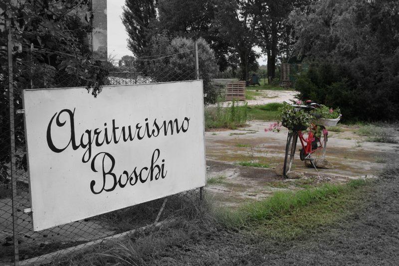 Agriturismo Boschi Реджиолло Экстерьер фото